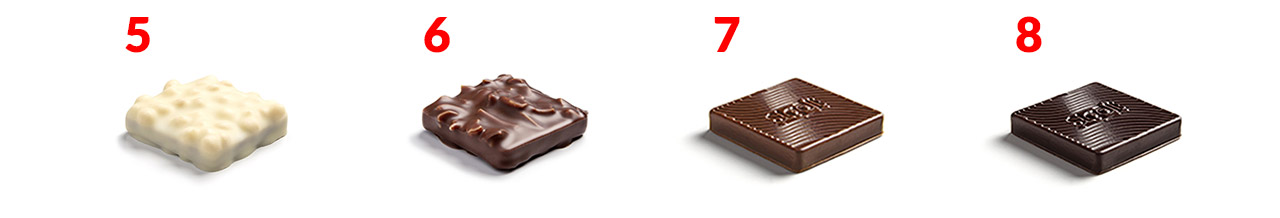 Le coffret Gastronome 36 bonbons de chocolat avec 8 saveurs différentes